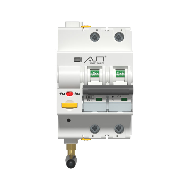 R3 Series 2P Intelligent Circuit Breaker Switch